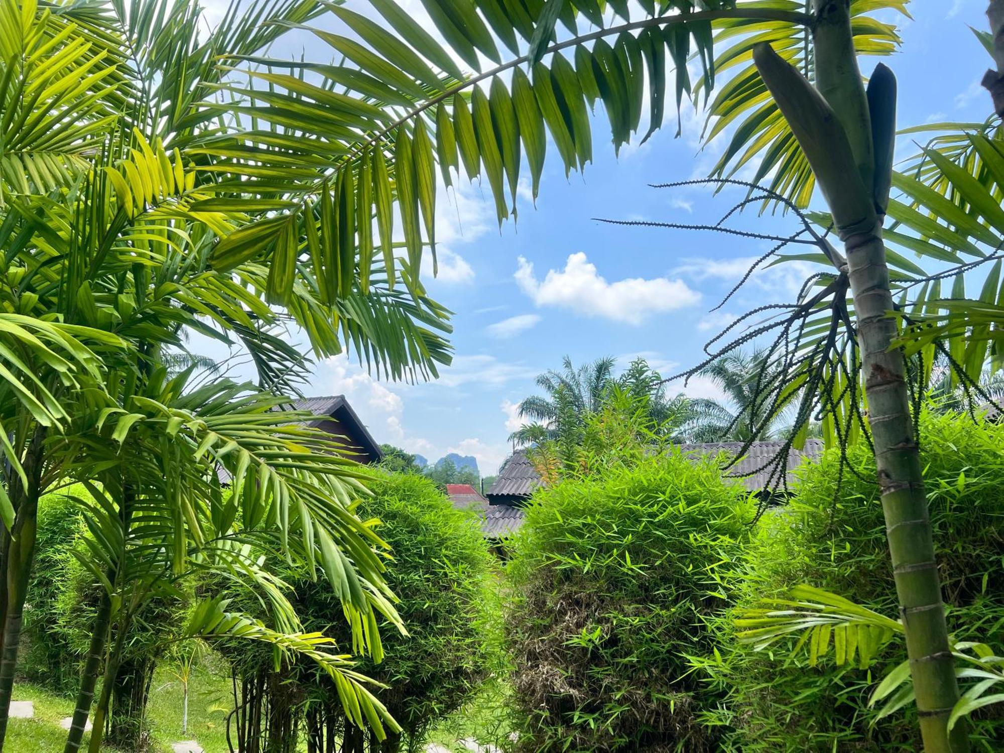 Palm Kiri Aonang Resort Ao Nang Εξωτερικό φωτογραφία