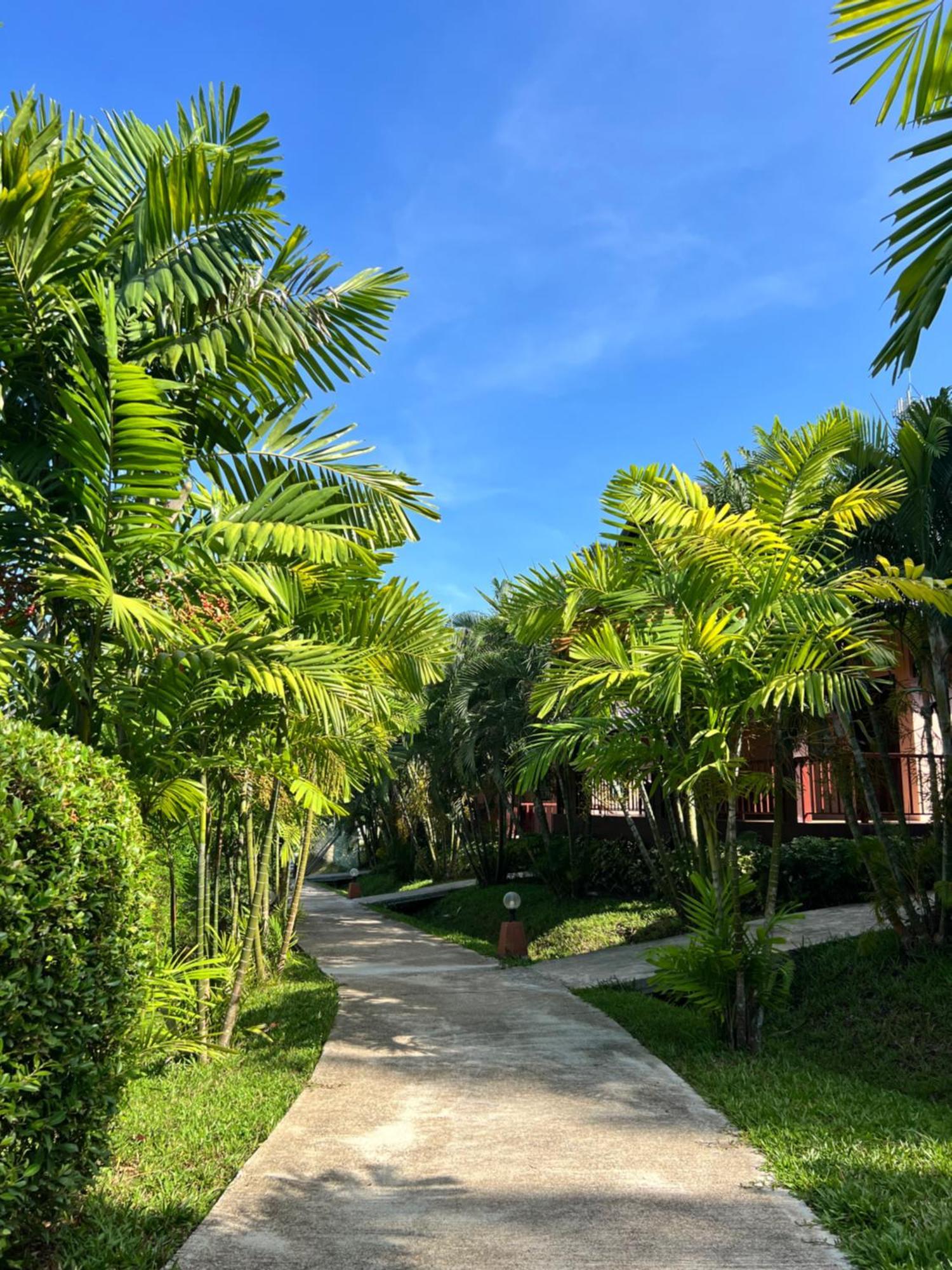 Palm Kiri Aonang Resort Ao Nang Εξωτερικό φωτογραφία